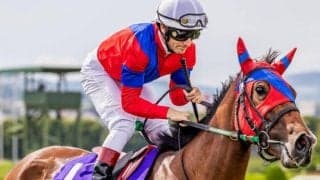 【日経新春杯】7歳牝馬のライラック 牡馬撃破で4年ぶりVなるか