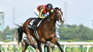 【日経新春杯予想オッズ】ゲルチュタールが予想1番人気
