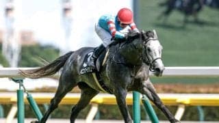 【AI予想・日経新春杯】前走で大敗した馬の激変に注意!? 人工知能が注目する本命候補とは