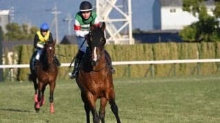 シンザン記念制したサンダーストラック 血統背景は良績多い配合パターン