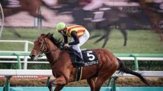 【京成杯予想オッズ】ポルフュロゲネトスが予想1番人気