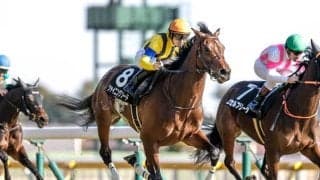 【日経新春杯展望】データ3冠でシャイニングソードが重賞初制覇へ