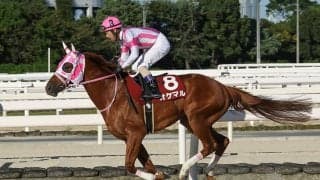 【園田・姫路競馬】兵庫の年度代表馬はオケマル