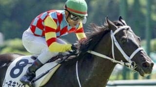 【京成杯】コントレイル産駒がJRA重賞初制覇なるか 札幌2歳S2着のジーネキングが参戦