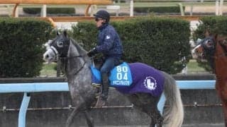 ヤマニンアルリフラなど、先週の入厩情報/栗東トレセンニュース