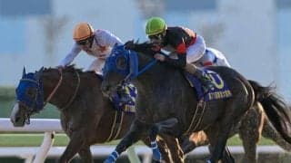 地方年度代表馬は東京大賞典Vのディクテオン NARグランプリの表彰人馬が発表