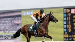 【AJCC想定】ドゥラドーレス、ファウストラーゼンなど13頭