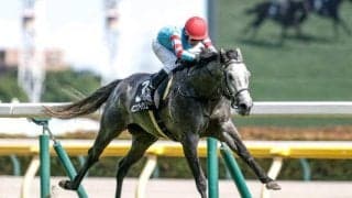 【日経新春杯予想】AIは堅めの決着を示唆？ 強調材料が多い一頭を素直に信頼