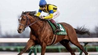 4コーナーでのロスも何のその ソールオリエンスが非凡な才能見せた23年京成杯