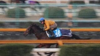 テーオーパスワード、プロキオンS1週前追い切り速報/栗東トレセンニュース