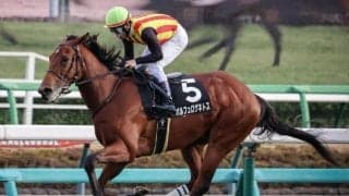 【京成杯出走馬・騎手確定】ポルフュロゲネトス＆横山武史騎手、ソラネルマン＆C.ルメール騎手など15頭
