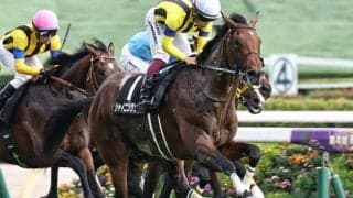 日経新春杯で複勝率83%のデータ 今年の該当馬は1頭のみ