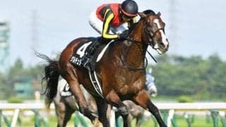 【日経新春杯出走馬・騎手確定】ゲルチュタール＆坂井瑠星騎手、ヤマニンブークリエ＆横山典弘騎手など13頭