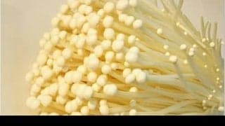 お酒との相性が良い！？「えのき」に含まれる栄養とは