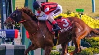 【カーバンクルS】明け9歳のウイングレイテスト レース史上最高齢Vなるか