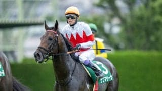 武豊騎手 今週の騎乗馬…日経新春杯はサブマリーナとのコンビ