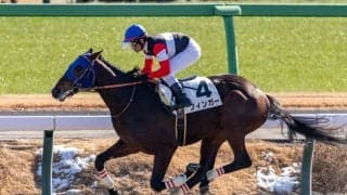 【ブルーバードカップ】羽田盃ステップレースにJRA馬4頭
