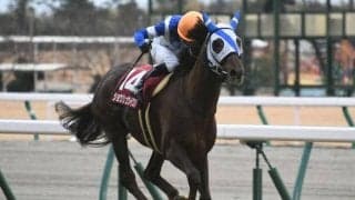 軽ハンデ2頭の激走がレース史上最高配当を呼ぶ 21年日経新春杯
