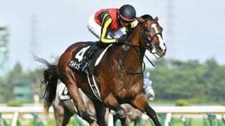 【日経新春杯枠順確定】ゲルチュタールは5枠6番、ヤマニンブークリエは6枠8番