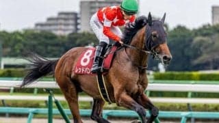 菊花賞5着のレッドバンデ 自己条件で確勝期す