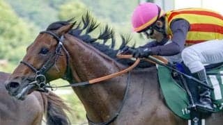 【AJCC想定馬・騎手】ドゥラドーレス、ショウヘイなど17頭