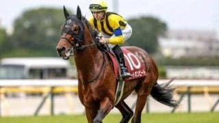 23年目黒記念覇者のヒートオンビートが登録抹消 北海道で乗馬となる予定