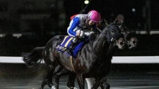 【プロキオンS想定馬・騎手】ロードクロンヌ、ブライアンセンスなど21頭