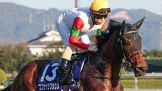 【小倉牝馬S想定馬・騎手】ココナッツブラウン、ジョスランなど18頭