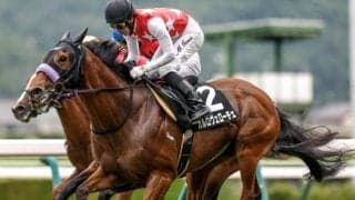 【今日の注目ポイント】中山でカーバンクルSと京都で紅梅S