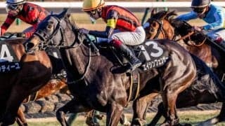 1番人気の活躍目立つカーバンクルS 逃げ馬に要注意