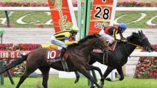ヒートオンビートが登録抹消…乗馬へ