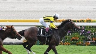 【競馬予想】日経新春杯は伸び盛りの明け４歳馬が有力も、遅咲きの良血馬にも要注意！