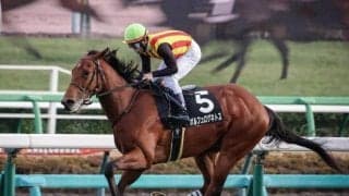 【京成杯予想】小回りコースで大型馬は不利!? 人気の一角でも過去傾向から好走に期待しづらい一頭とは