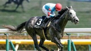 【日経新春杯予想】ハンデ戦でも前走大敗馬には期待できず!? 臨戦過程にも不安を感じる危険視したい人気馬