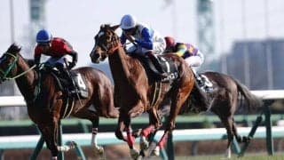 【菜の花賞】キタサンブラック産駒 アメティスタが連勝