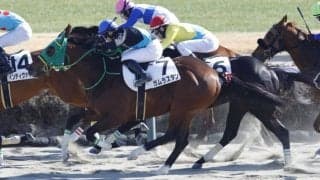 【新馬/中山3R】ゴール前強襲！ガムラスタンがデビューV