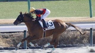 【中山2R】断然人気ウリズンベーが5馬身差圧勝