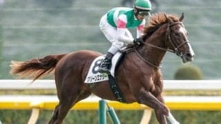 【京成杯前日オッズ】グリーンエナジーが4.5倍で1番人気