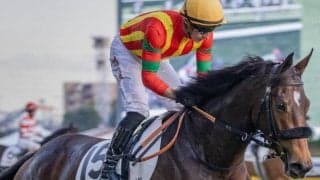 エフフォーリアの半妹イゾラフェリーチェ 約2年ぶりの勝利狙う