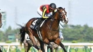 【AI予想・日経新春杯】順調な調整過程でいざ重賞獲りへ！ 人工知能はGIで善戦した実力を素直に評価