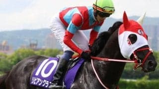 京都芝は前有利 日経新春杯はリビアングラスが波乱呼ぶ