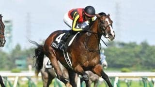 【今日の注目ポイント】中山で京成杯と京都で日経新春杯