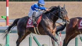 日経新春杯は上位人気が優勢か 前走クラスに注目