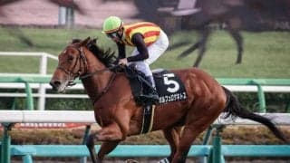 【京成杯予想】皐月賞と同舞台 クラシックを占う一戦