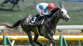 【日経新春杯予想】新春の伝統ハンデ重賞を制すのは