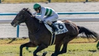 【京成杯予想】狙うは中位人気の最速上がりタイプ？ 過去データで探るGIII京成杯