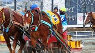 【ばんえい十勝】今井千尋騎手、地方競馬女性騎手の年度最多勝記録を更新