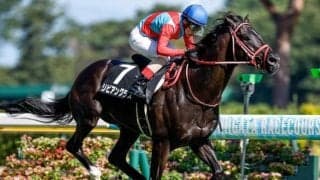 日経新春杯は逃げ先行馬に要注意 リビアングラス＆ヤマニンブークリエが好配提供だ