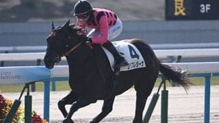 【京都5R新馬戦結果】エピファネイア産駒クリスレジーナが逃げ切り勝ち