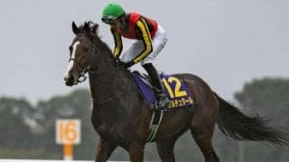 【日経新春杯・馬体重】ゲルチュタールは530kg(+6)、シャイニングソードは524kg(+2)